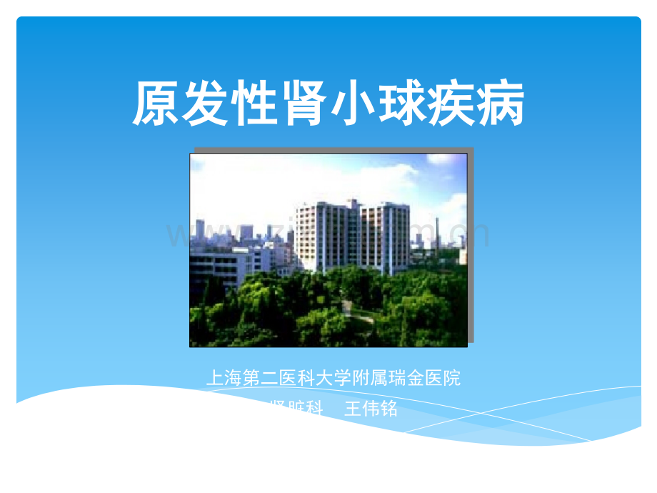 原发性肾小球疾病ppt课件.ppt_第1页