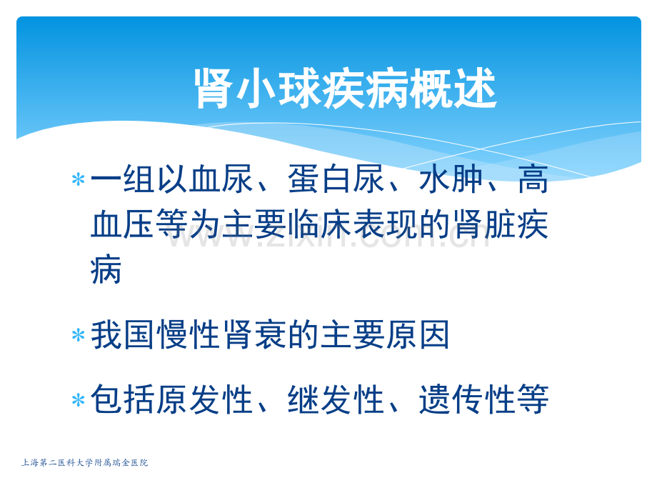 原发性肾小球疾病ppt课件.ppt_第2页