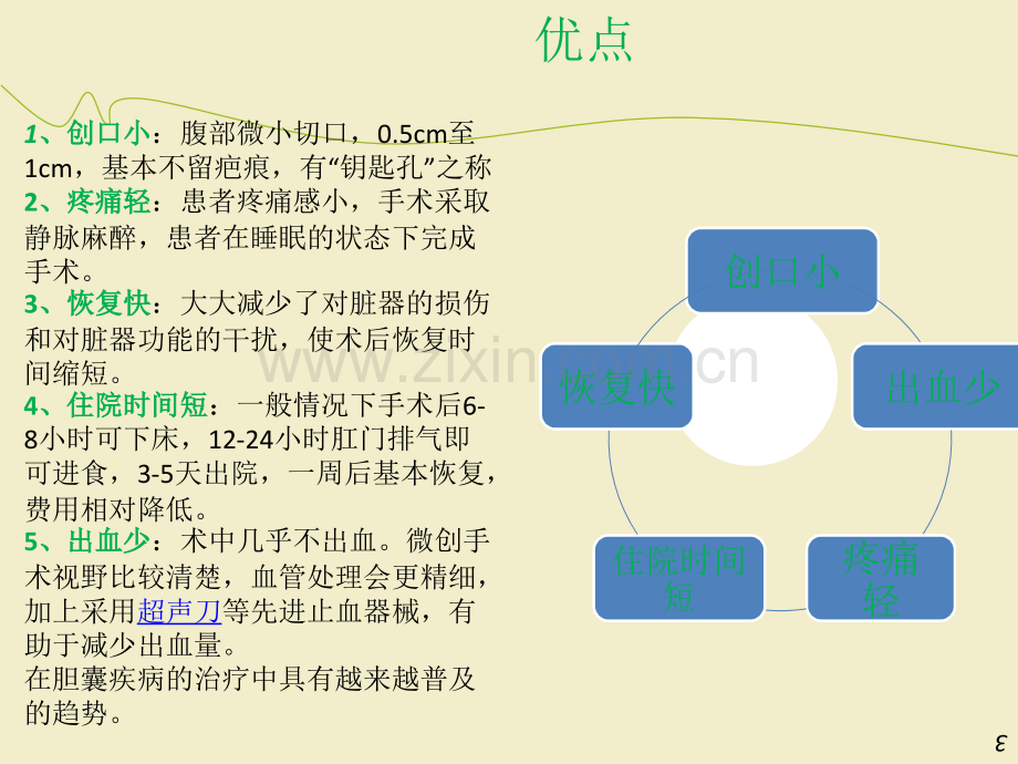 腹腔镜胆囊切除术ppt课件.ppt_第3页