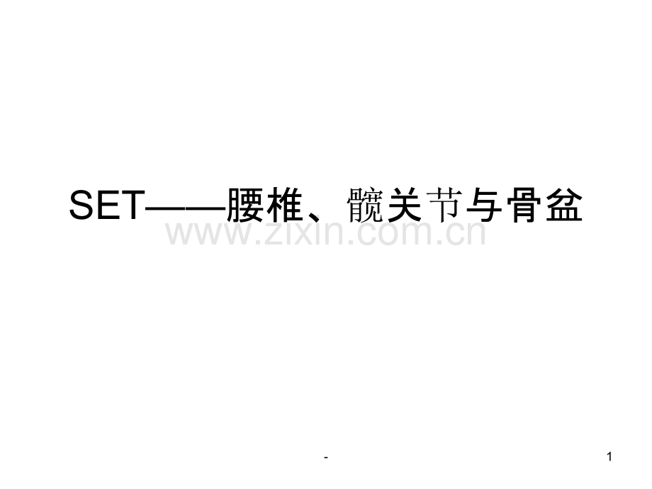 SET——腰椎、髋关节与骨盆PPT课件.ppt_第1页