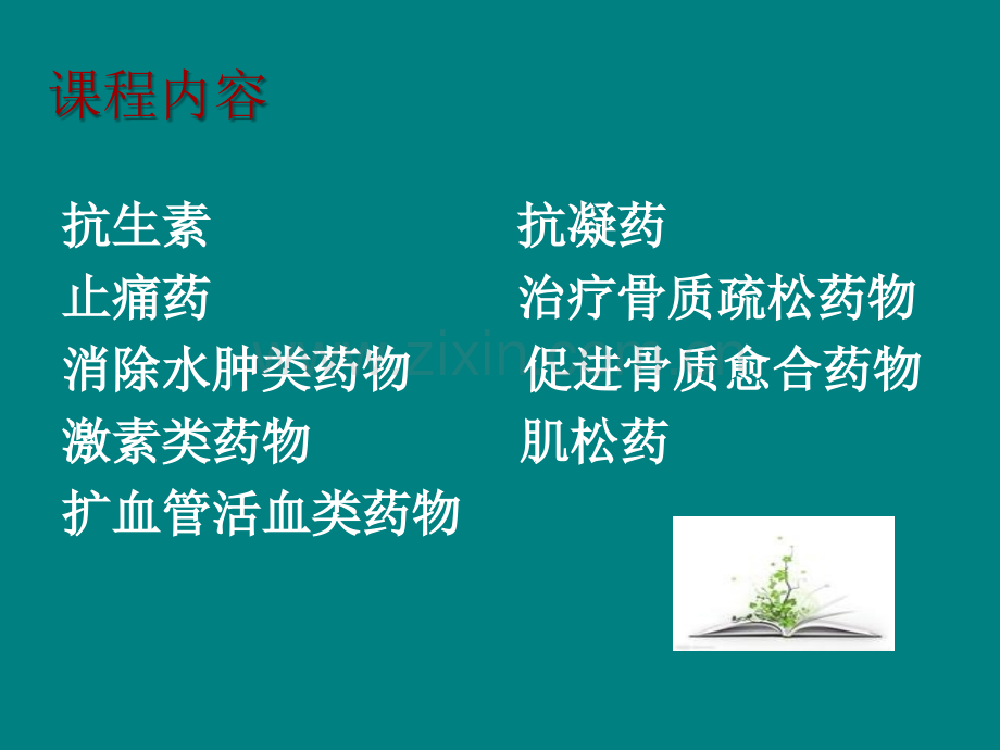 骨科常见药物护理ppt课件.ppt_第3页