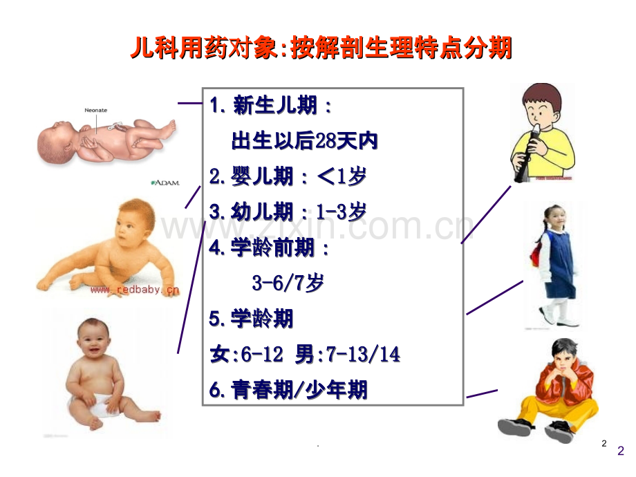 儿童用药分析.ppt_第2页