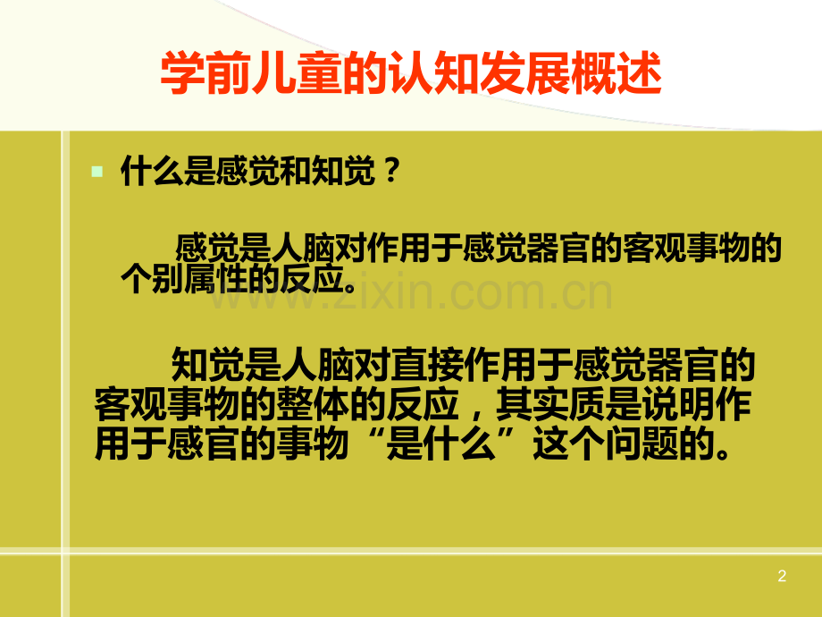 第三章-学前儿童认知PPT课件.ppt_第2页