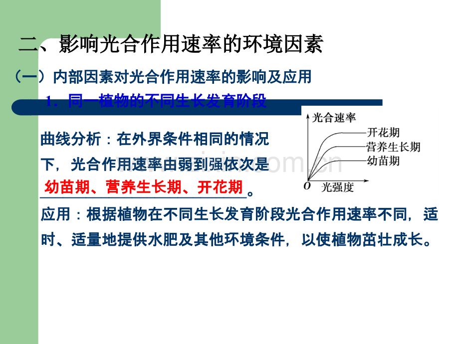 影响光合作用的因素.ppt_第2页