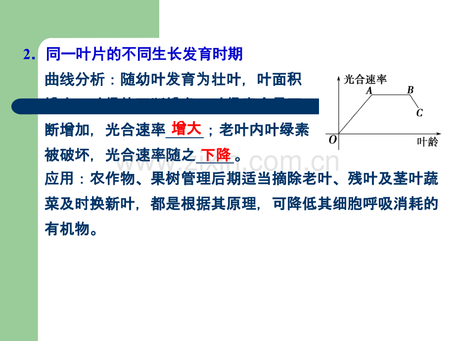 影响光合作用的因素.ppt_第3页