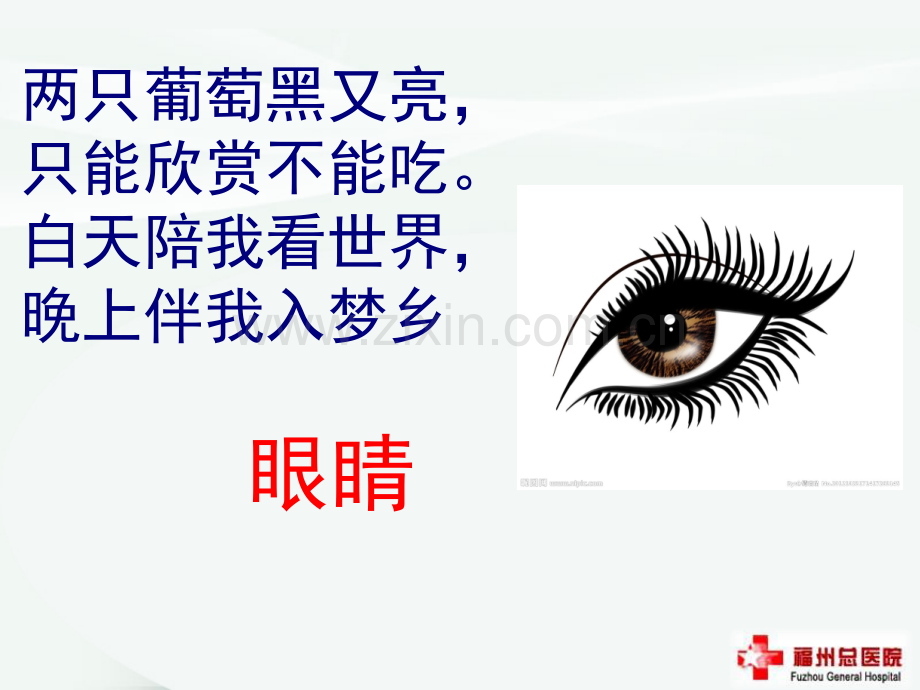 保护眼睛预防近视ppt课件.ppt_第1页