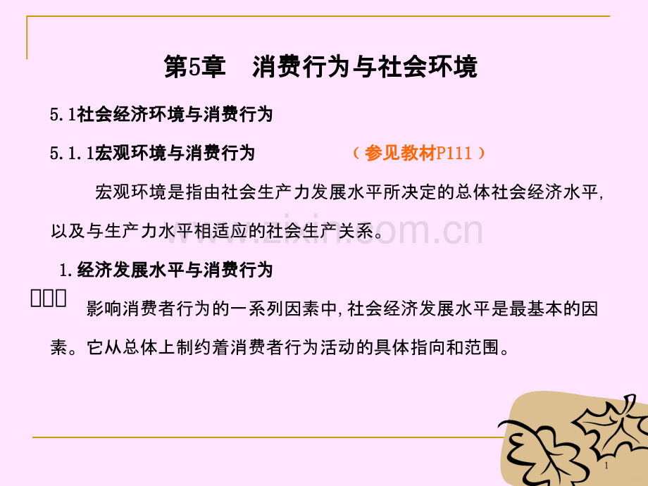 消费行为张理第章消费者行为与社会环境PPT课件.ppt_第1页