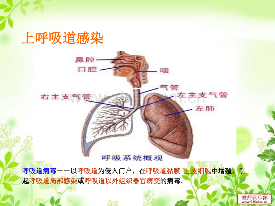 感冒的中西医文化ppt课件.ppt_第3页