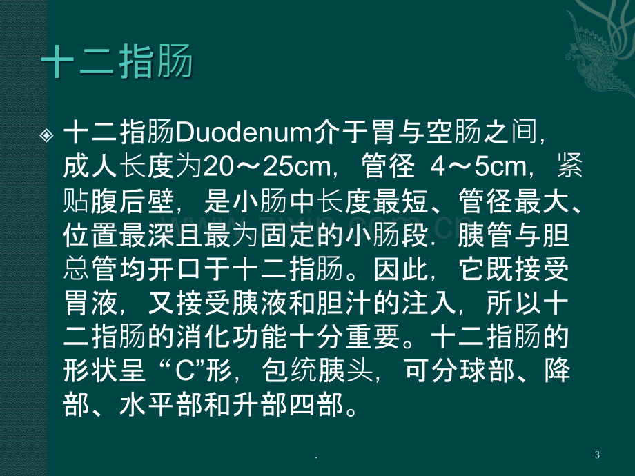 多学科对小肠出血的认识PPT课件.pptx_第3页