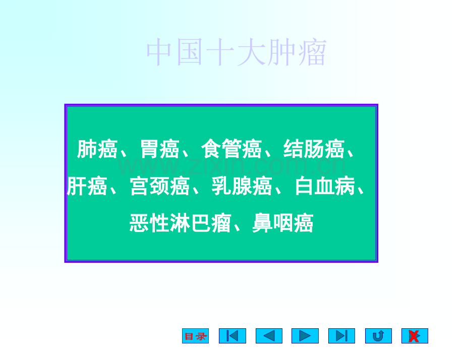 肿瘤营养与健康ppt课件.ppt_第3页