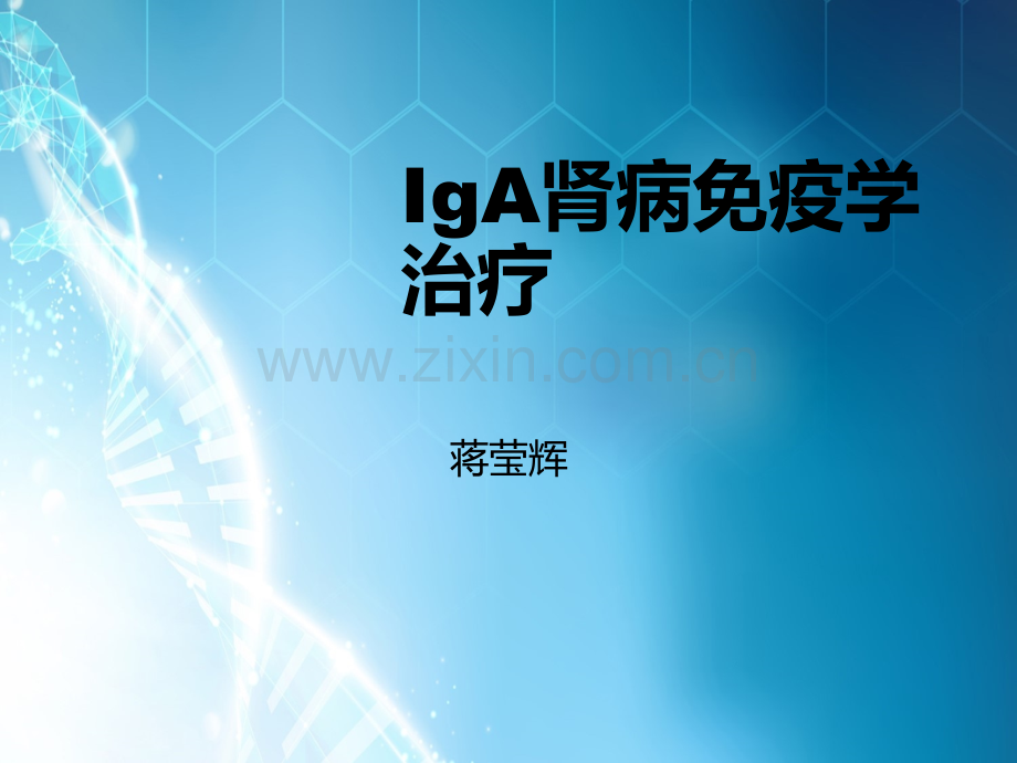 IgA肾病免疫学治疗ppt课件.ppt_第1页