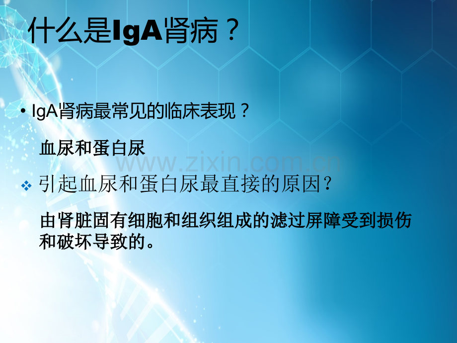 IgA肾病免疫学治疗ppt课件.ppt_第2页