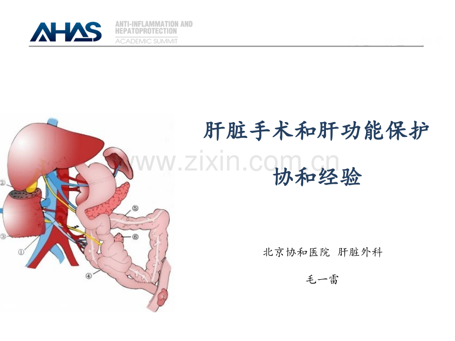 16-肝切除手术和术后保肝-毛一雷PPT课件.pptx_第2页