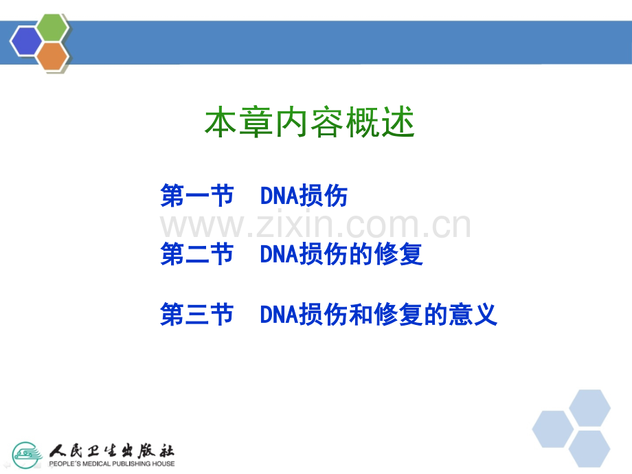 DNA的损伤修复ppt课件.pptx_第3页