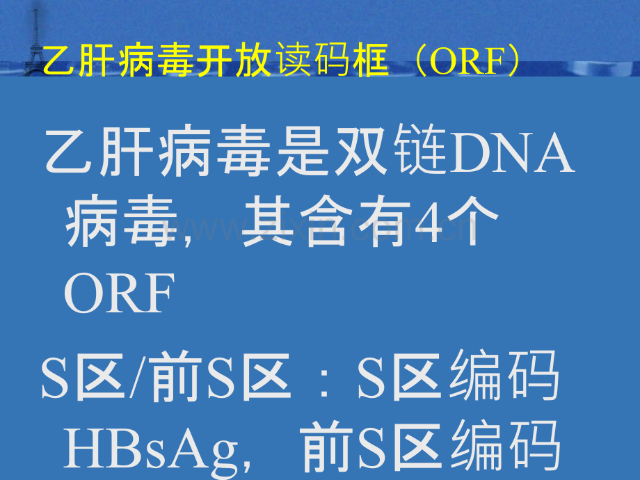 乙肝三系解读ppt课件.ppt_第2页