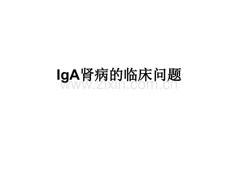 IgA肾病的临床问题ppt课件.pptx_第1页