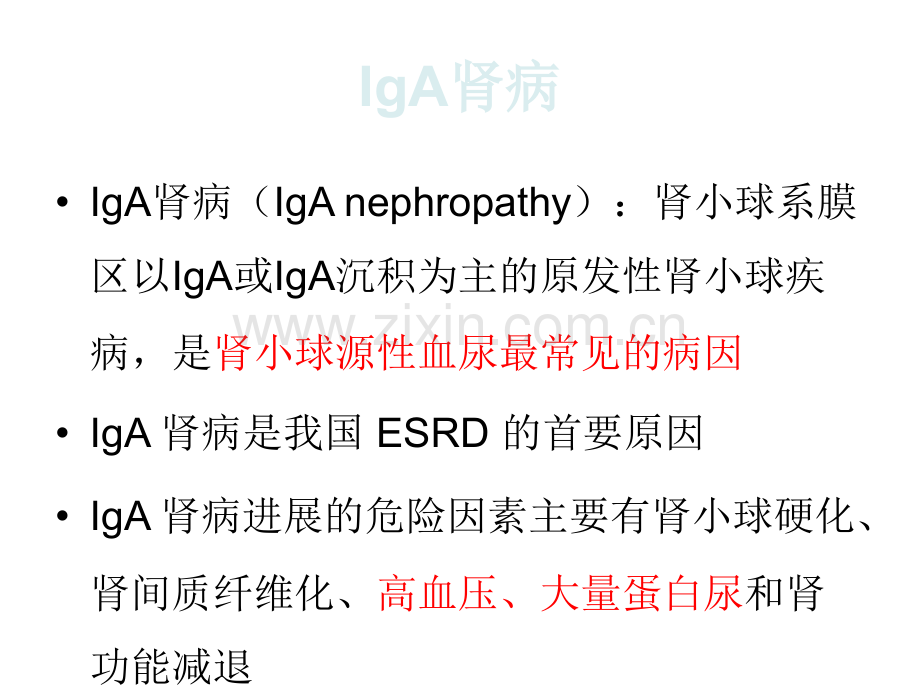 IgA肾病的临床问题ppt课件.pptx_第2页