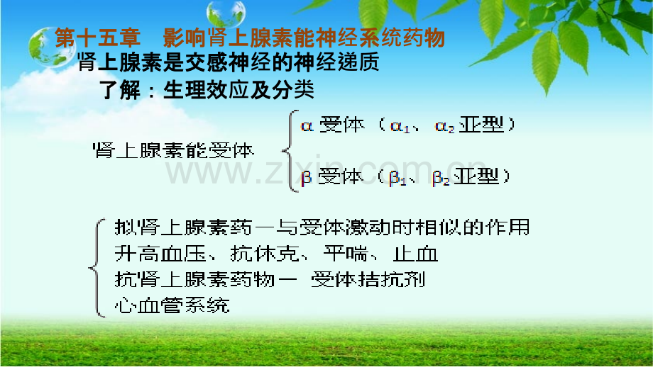 影响肾上腺素能神经系统药物.ppt_第1页