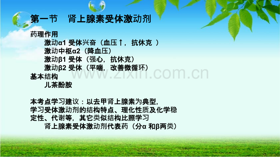 影响肾上腺素能神经系统药物.ppt_第2页