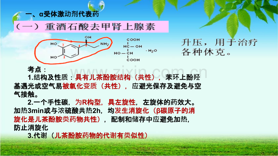 影响肾上腺素能神经系统药物.ppt_第3页