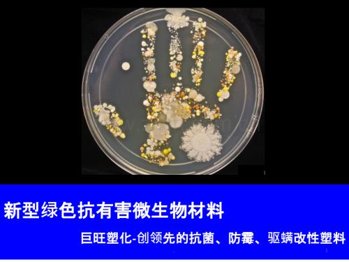 新型绿色抗有害微生物改性塑料---抗菌、防霉、驱螨纤维PPT课件.pptx