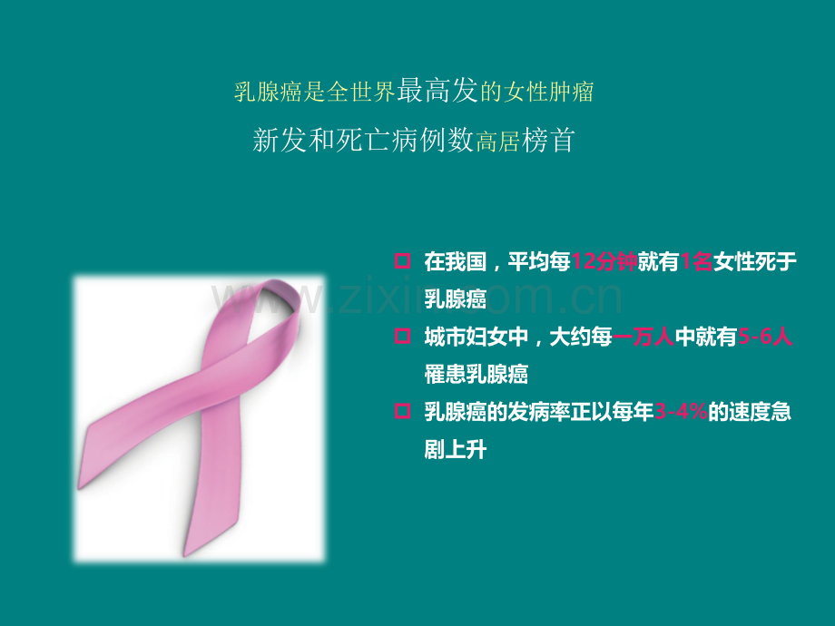 走进HER阳性乳腺癌.ppt_第2页