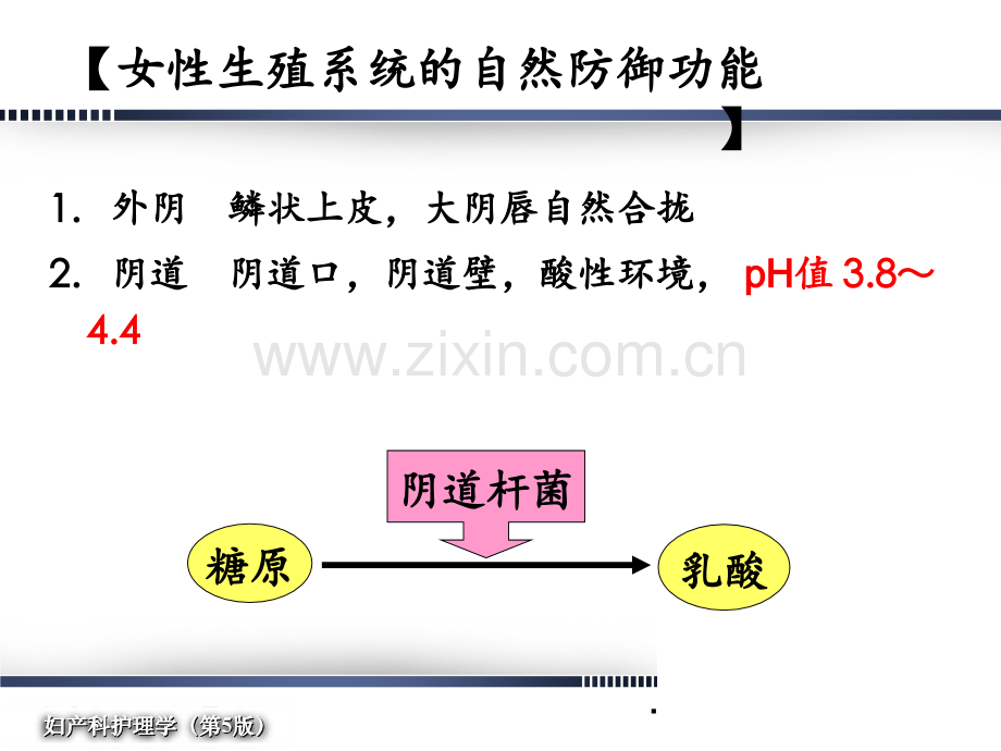 妇产科护理学第13章--女性生殖系统炎症病人的护理(2)PPT课件.ppt_第3页