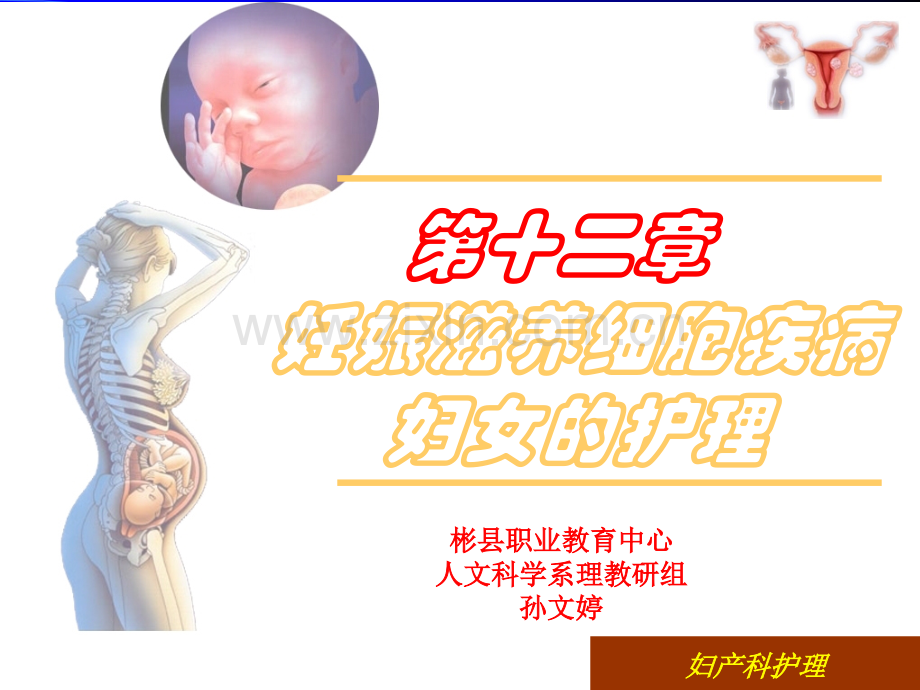 滋养细胞疾病妇女的护理ppt课件.ppt_第1页