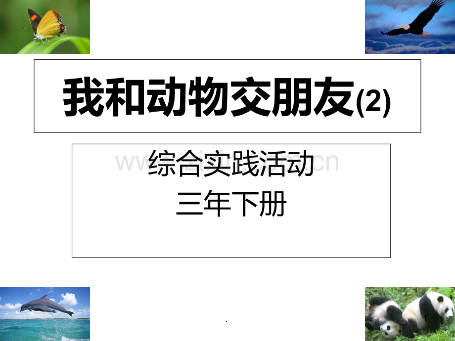 我和动物交朋友-PPT课件.ppt_第1页