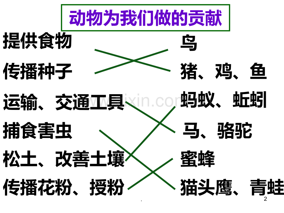 我和动物交朋友-PPT课件.ppt_第2页