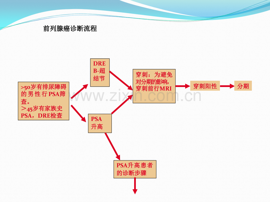 中国前列腺癌诊治指南.ppt_第3页