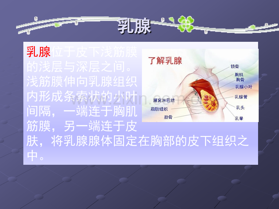 乳腺增生的诊断及治疗用药ppt课件.pptx_第3页