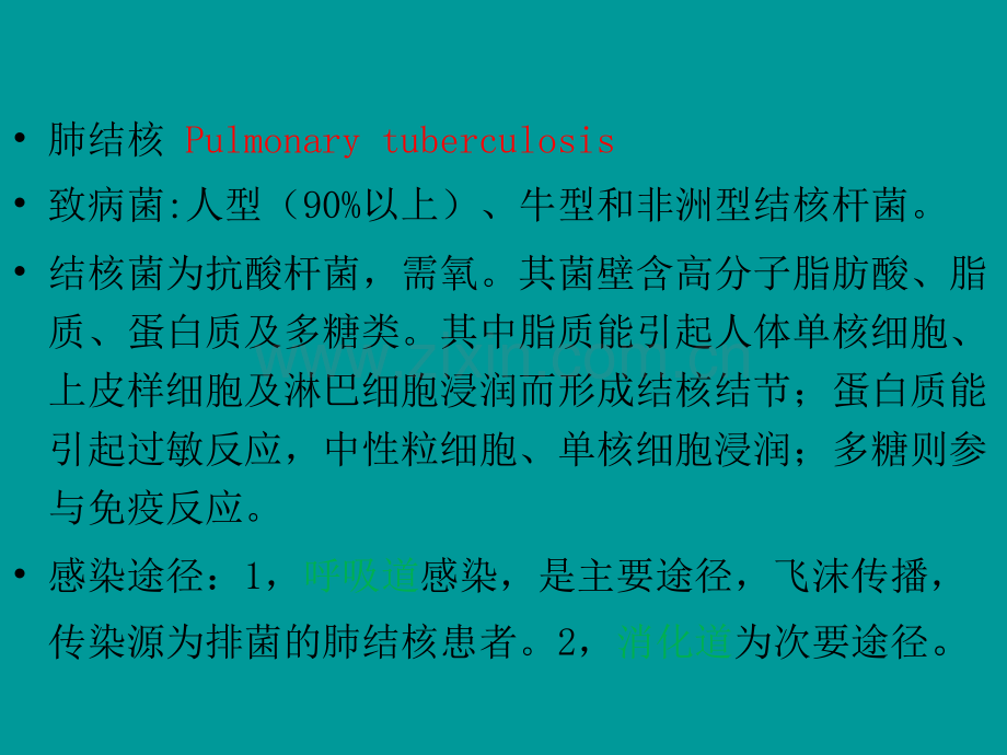 肺结核的影像诊断X线ppt课件.ppt_第2页