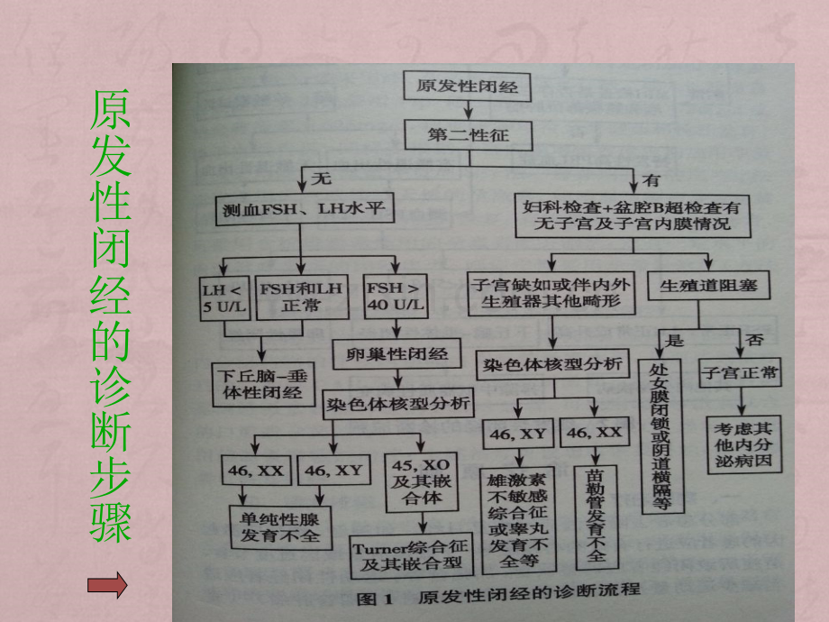 中医妇科闭经.ppt_第3页