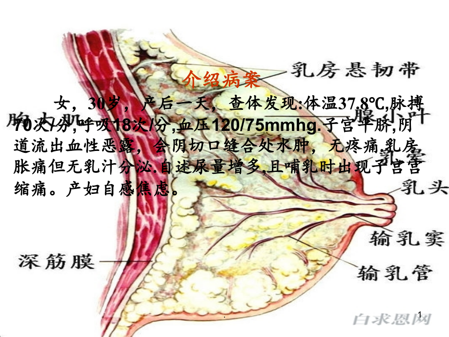 第四章产褥期妇女的护理PPT课件.ppt_第1页