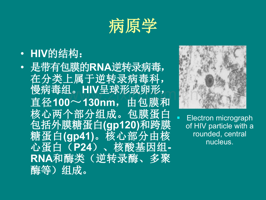 艾滋病-(2)ppt课件.ppt_第3页