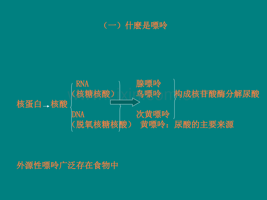 痛风的营养治疗方案.ppt_第3页