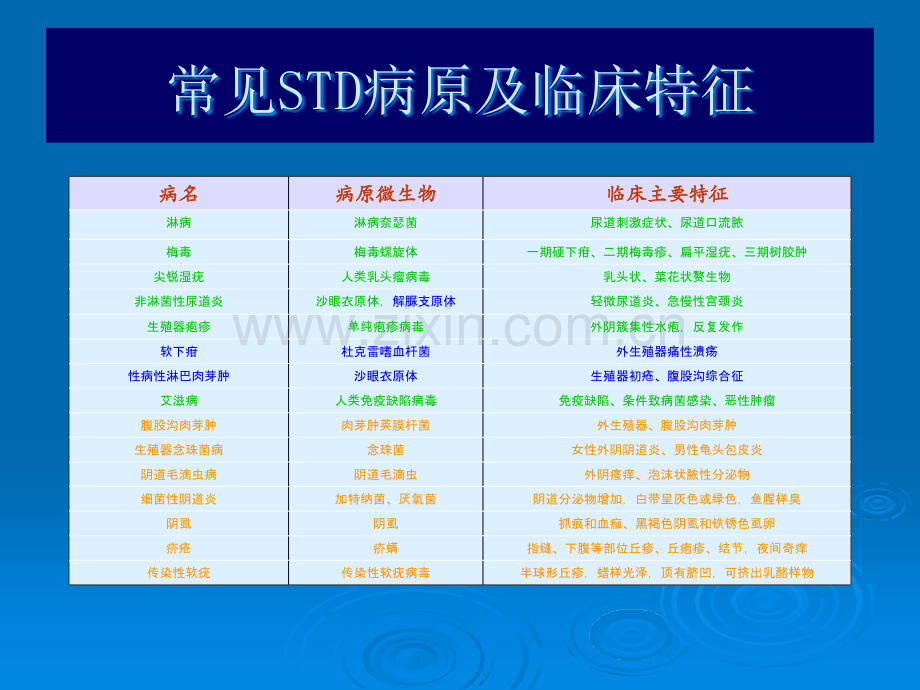 STD介绍ppt课件.ppt_第2页