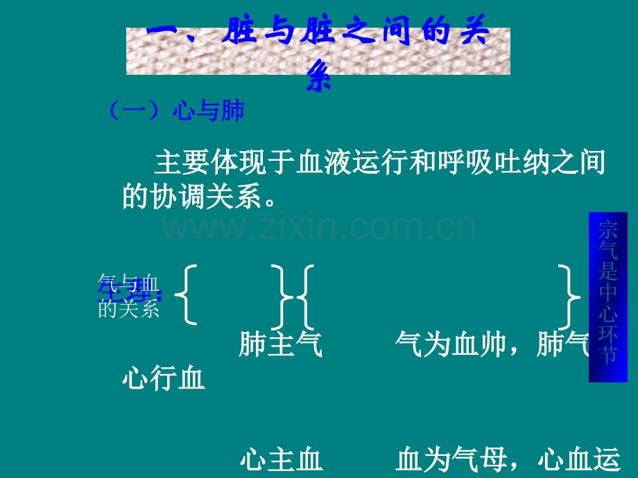 脏腑之间关系(一).ppt_第2页