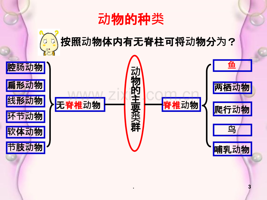 动物的主要类群复习课PPT课件.ppt_第3页