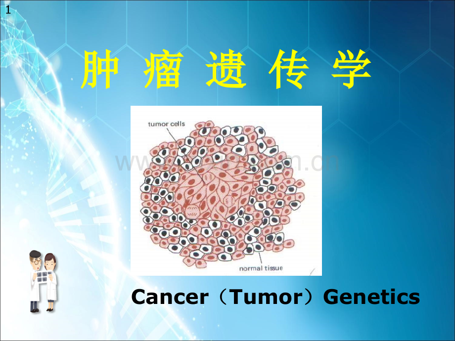 肿瘤遗传学-课件ppt课件.pptx_第1页