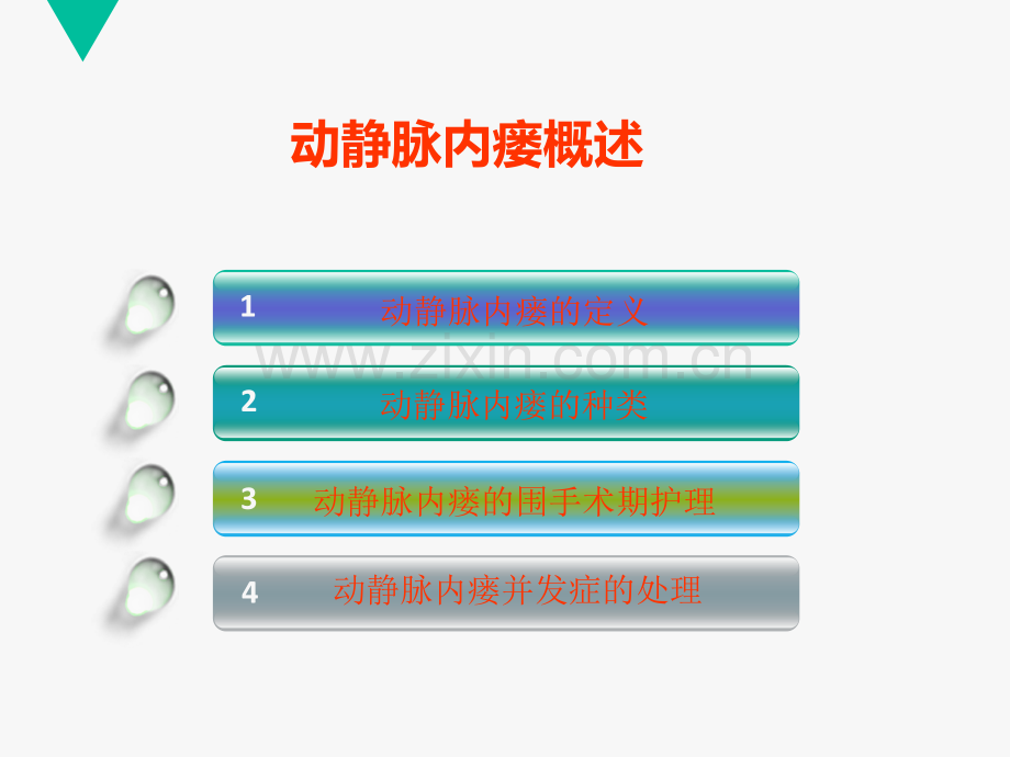 动静脉内瘘的围手术期护理.ppt_第2页