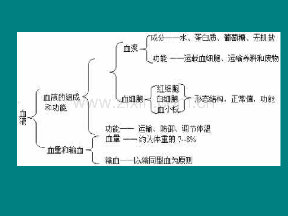 血液系统药药物.ppt_第2页