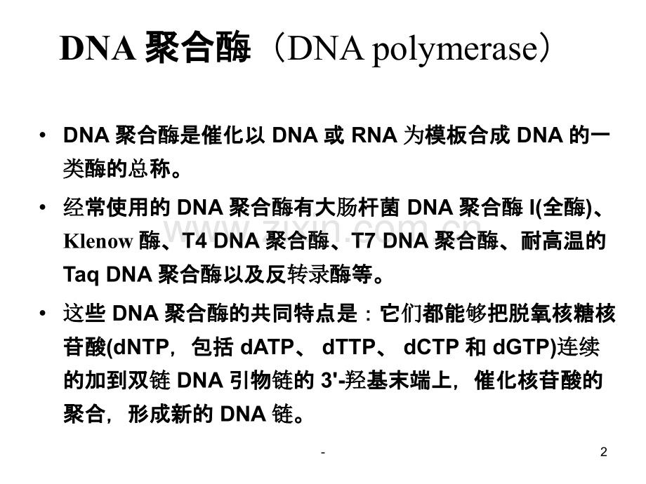 [经济学]第二节-其他重要工具酶PPT课件.ppt_第2页