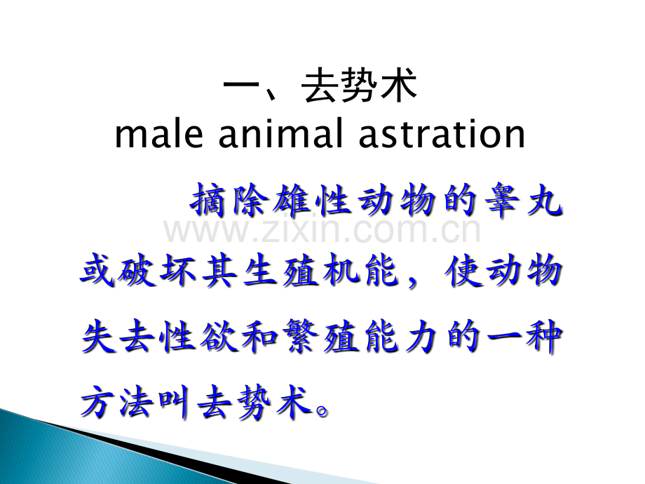 动物去势术ppt课件.ppt_第3页