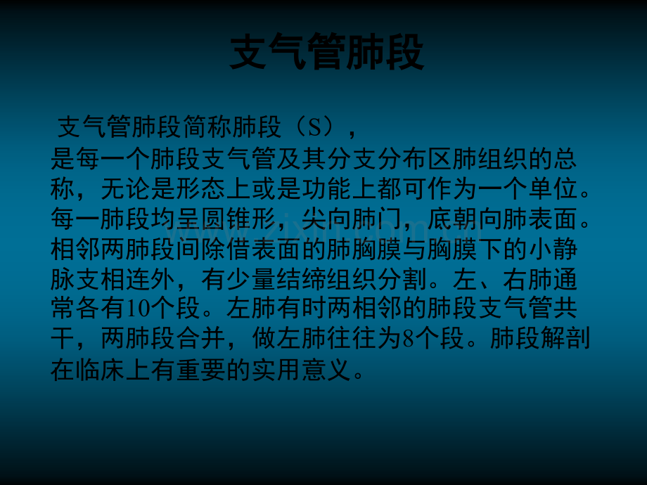 肺段及肺动静脉.ppt_第1页