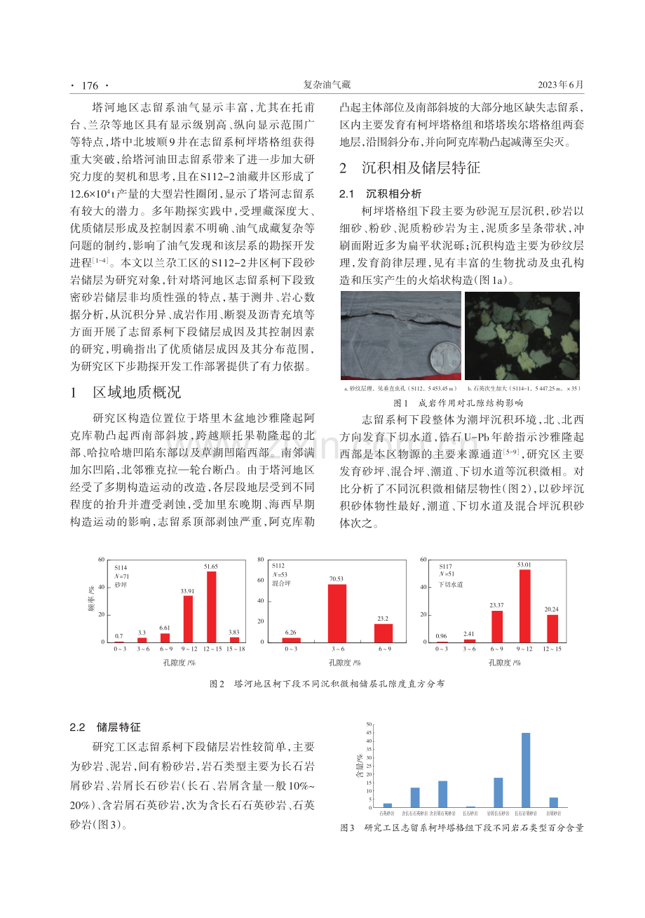 塔河地区志留系柯下段致密砂岩储层特征及控制因素研究.pdf_第2页