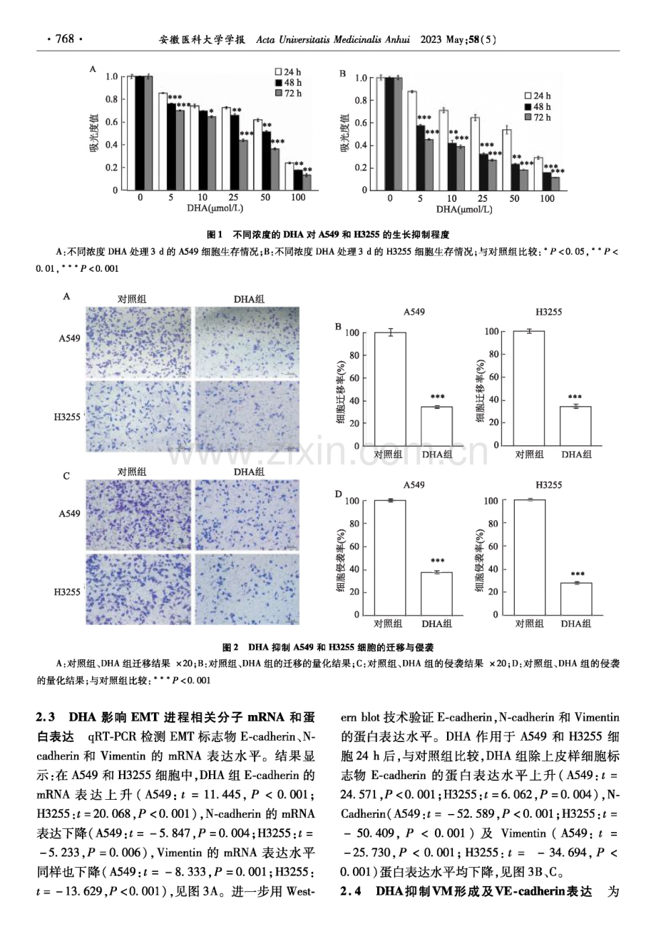 双氢青蒿素抑制非小细胞肺癌细胞迁移侵袭和血管生成拟态的初步研究.pdf_第3页