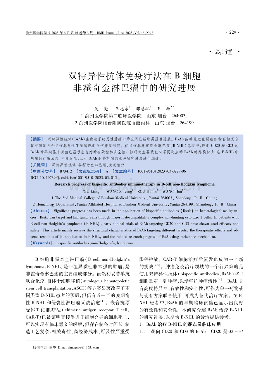 双特异性抗体免疫疗法在B细胞非霍奇金淋巴瘤中的研究进展.pdf_第1页