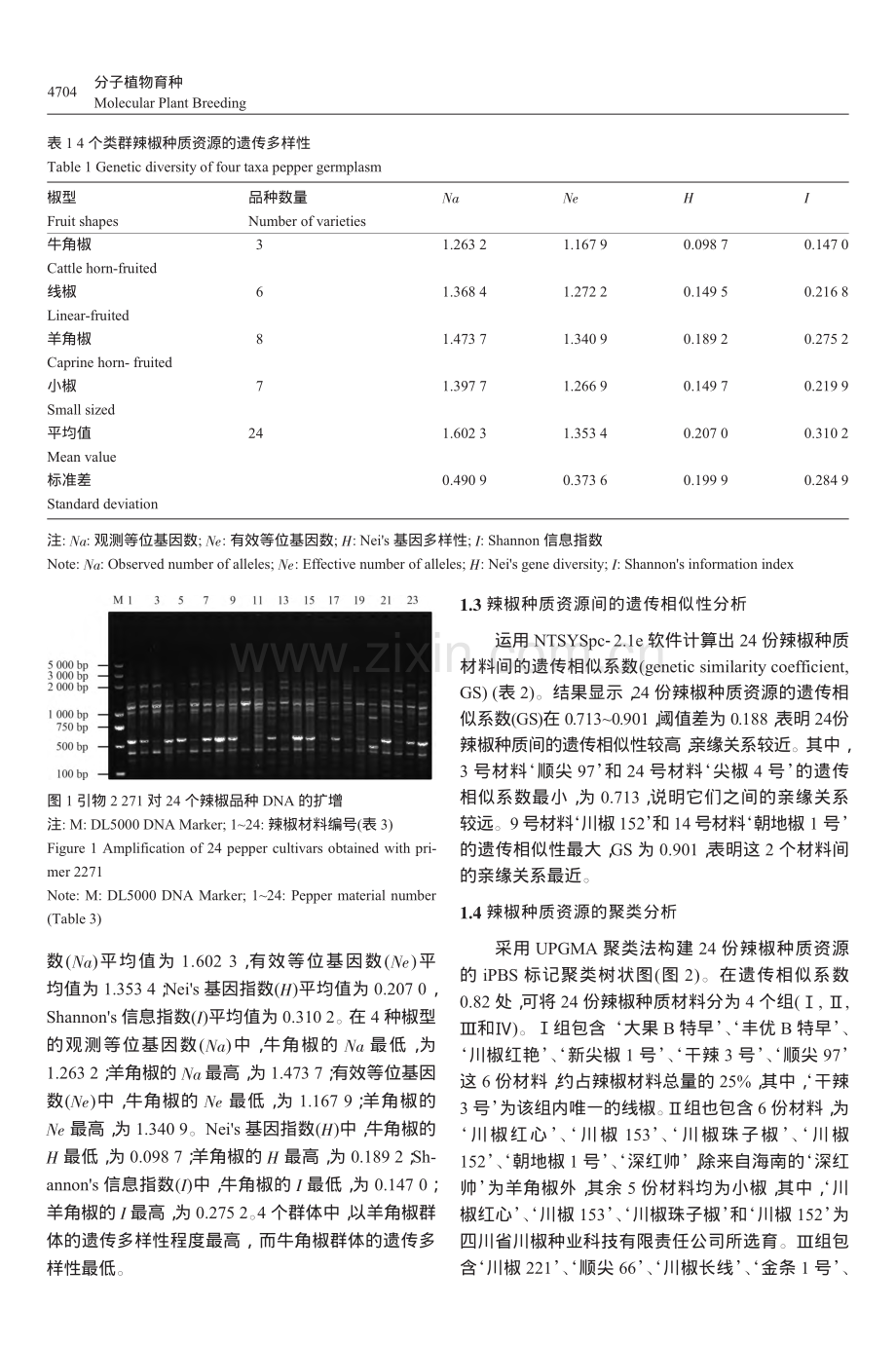 四川加工型辣椒种质资源遗传多样性分析_张艳.pdf_第3页